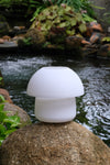 Cosy Cap Serie - White